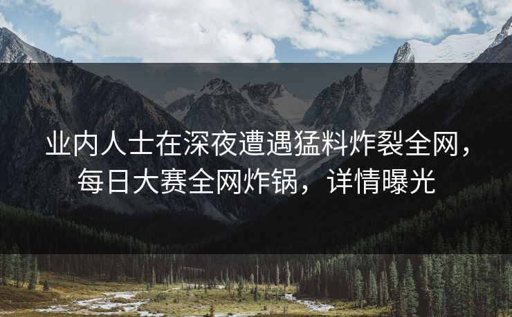 业内人士在深夜遭遇猛料炸裂全网，每日大赛全网炸锅，详情曝光