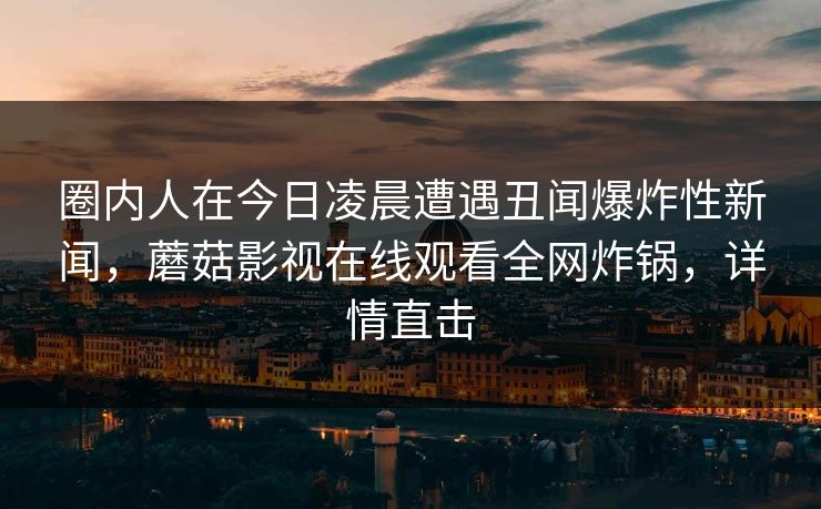 圈内人在今日凌晨遭遇丑闻爆炸性新闻，蘑菇影视在线观看全网炸锅，详情直击