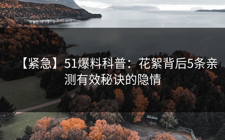 【紧急】51爆料科普：花絮背后5条亲测有效秘诀的隐情  第1张