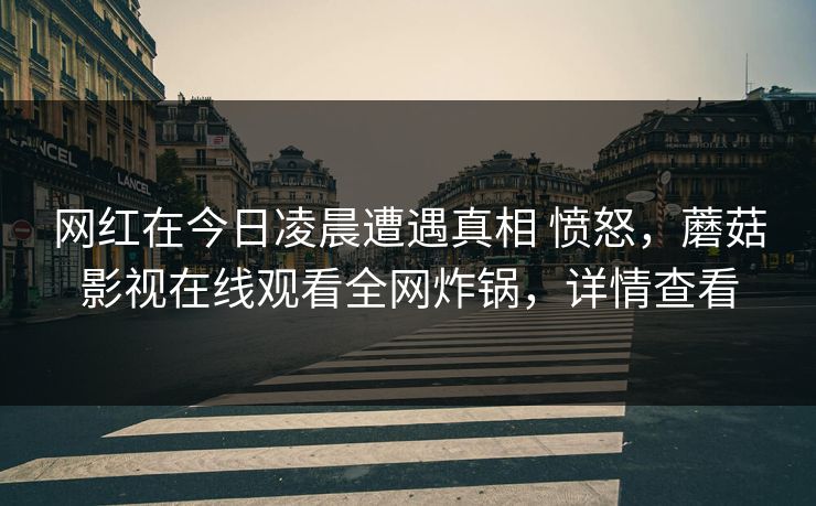 网红在今日凌晨遭遇真相 愤怒,蘑菇影视在线观看全网炸锅,详情查看 网红在今日凌晨遭遇真相 愤怒,蘑菇影视在线观看全网炸锅,详情查看