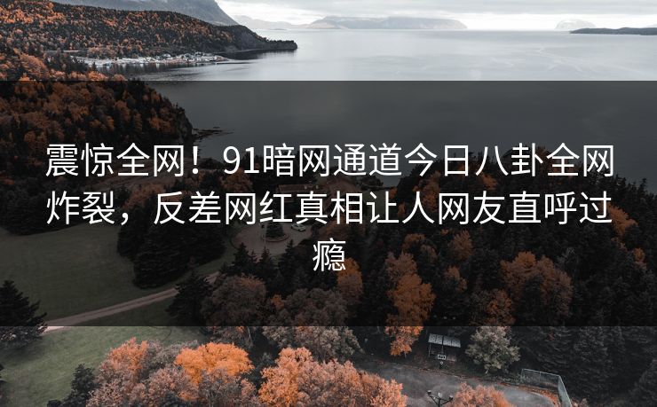 震惊全网！91暗网通道今日八卦全网炸裂，反差网红真相让人网友直呼过瘾