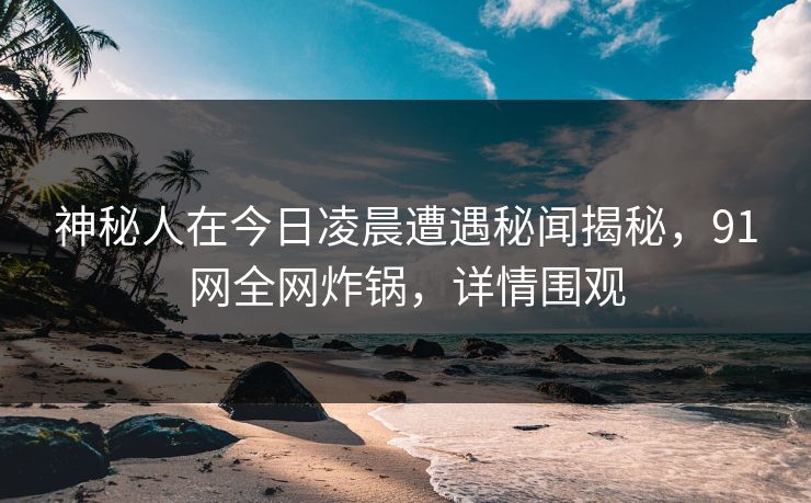 神秘人在今日凌晨遭遇秘闻揭秘,91网全网炸锅,详情围观