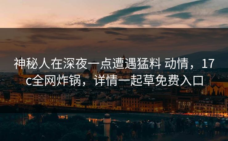 神秘人在深夜一点遭遇猛料 动情，17c全网炸锅，详情一起草免费入口